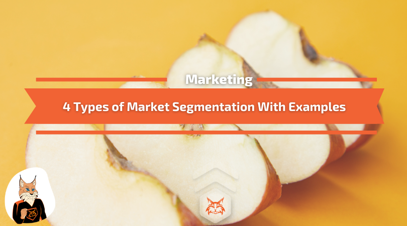 You are currently viewing 4 Types of Market Segmentation With Examples